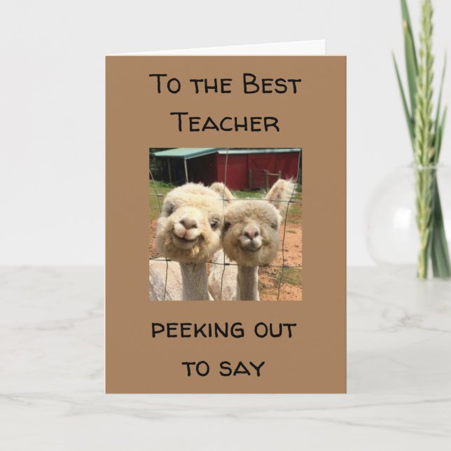 FELIZ * ANIVERSÁRIO ***A MELHOR CARTÃO DE PROFESSO (Frente)