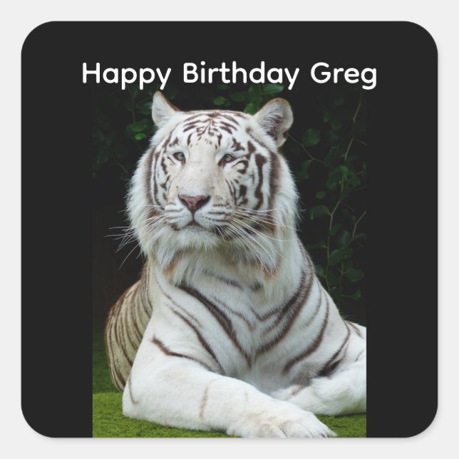 Feliz Aniversário Adesivo Quadrado de Tigre Branco (Frente)