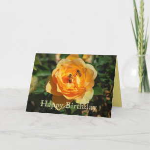 Feliz Aniversário Amarelo Rosa Com Cartão De Abelh
