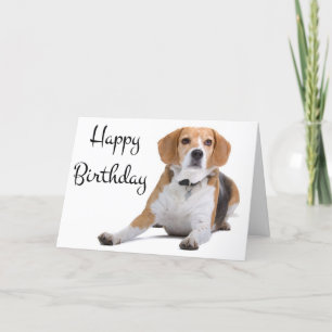 Feliz Aniversário Beagle Puppy Dog Cartão Saudação