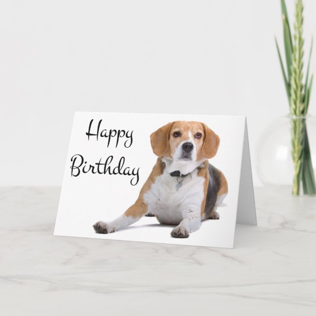 Feliz Aniversário Beagle Puppy Dog Cartão Saudação (Frente)