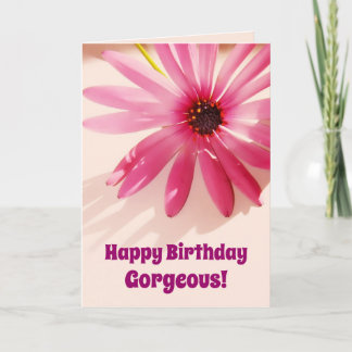 Feliz Aniversário - Belo Cartão de Flor Rosa