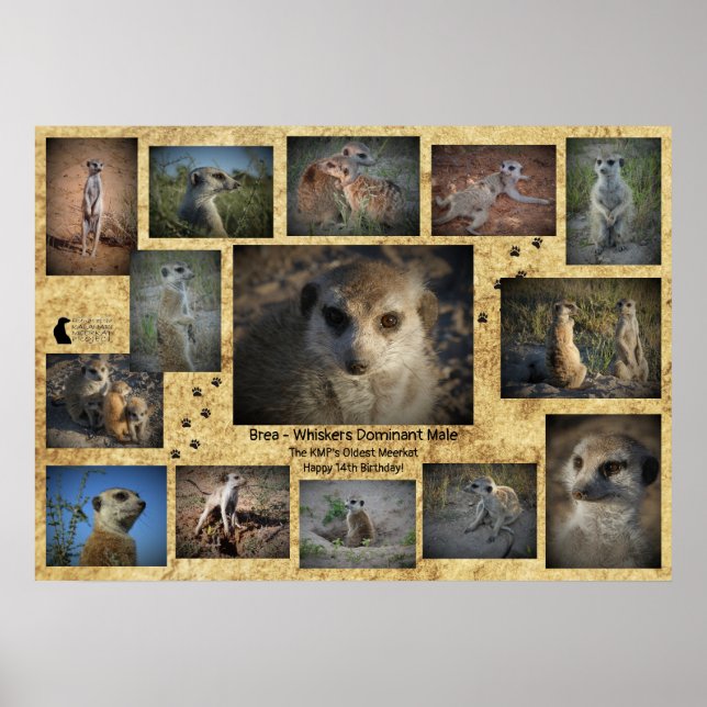 Feliz aniversário Brea Poster (Frente)