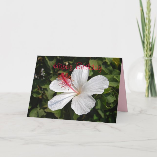 Feliz Aniversário - Cartão Branco Hibiscus (Frente)