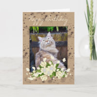 Feliz Aniversário, Cartão De Aniversário Com Gato,