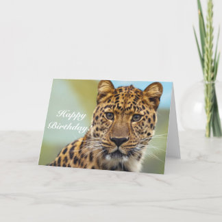 Feliz Aniversário Cartão de Boas-Vindas do Leopard