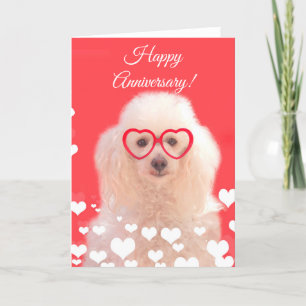 Feliz Aniversário Cartão de cão Poodle