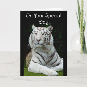 Feliz Aniversário - Cartão de Saudação de Tigre Br