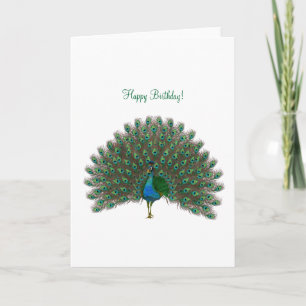 Feliz aniversário! - Cartão de saudação Peacock