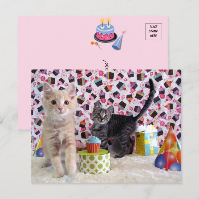 Feliz Aniversário - Cartão Postal de Gato (Frente/Verso)