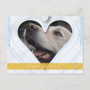 Feliz aniversário! - cartão postal do cão