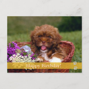 Feliz aniversário! - cartão postal do cão