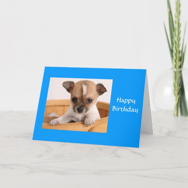 Feliz Aniversário Chihuahua Puppy Cartão Saudação (Frente)