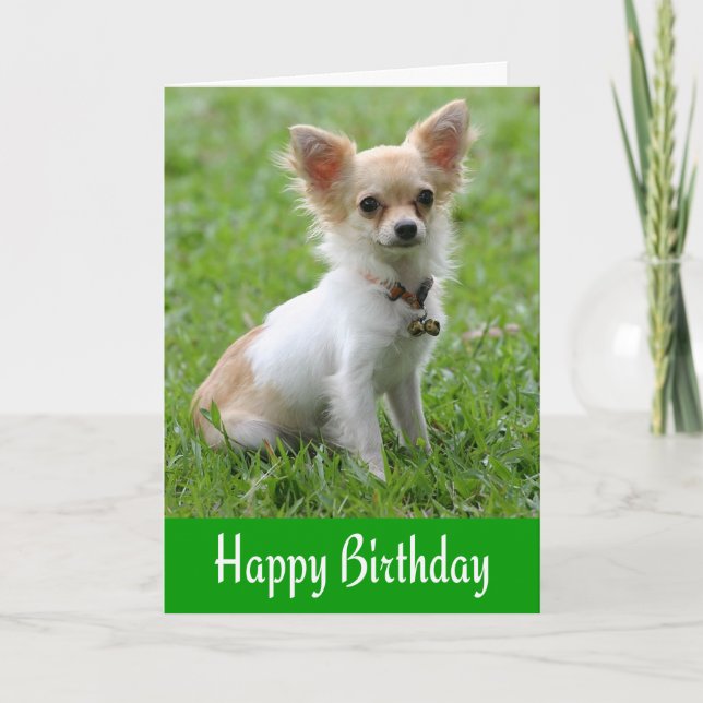 Feliz Aniversário Chihuahua Puppy Green - Cartão S (Frente)