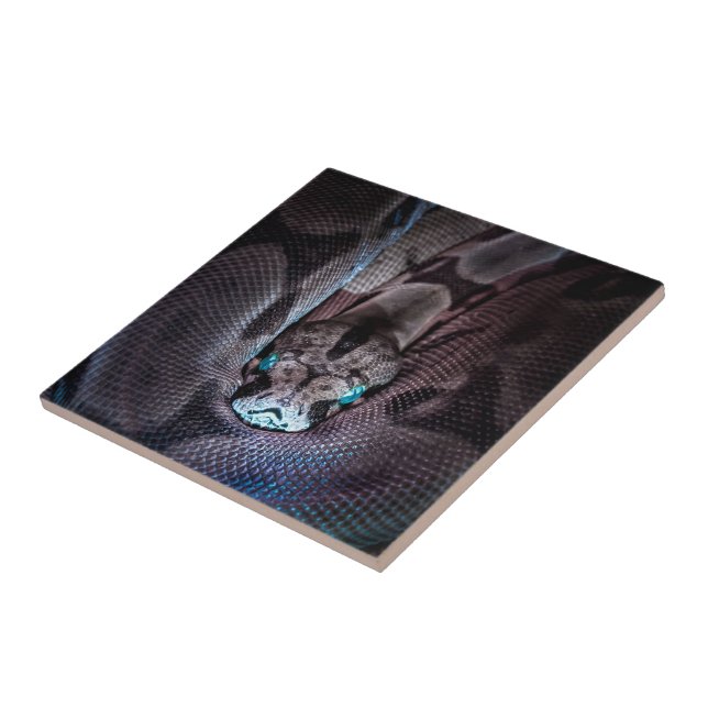 Feliz Aniversário Cobra (Lateral)