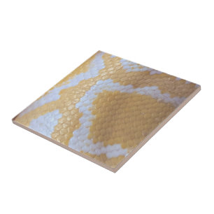 Feliz Aniversário Cobra