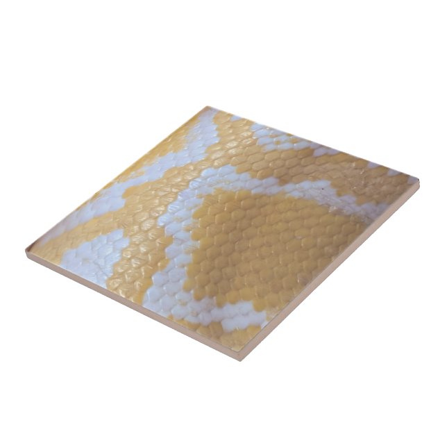 Feliz Aniversário Cobra (Lateral)