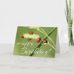 Feliz aniversário com 5 meninos. Cartão