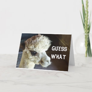 FELIZ *ANIVERSÁRIO* DIGA CARTÃO LLAMA