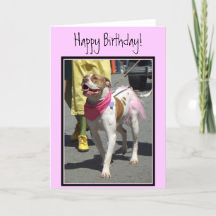 Feliz Aniversário do American Bulldog cartão de sa