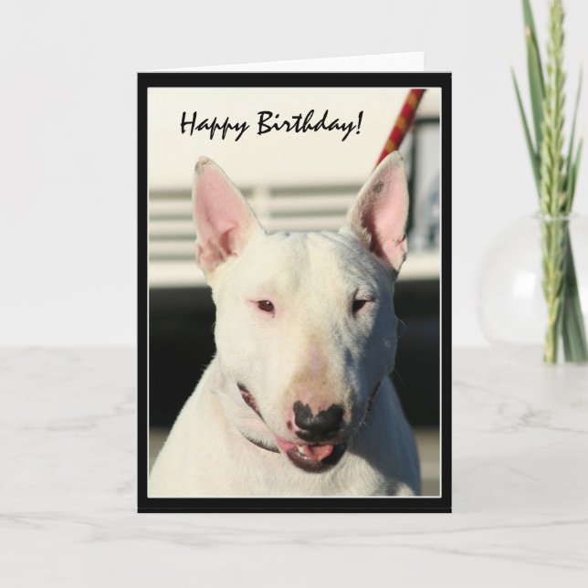 Feliz Aniversário do Bull Terrier Cartão de Saudaç (Frente)