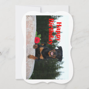 feliz aniversário do rottweiler