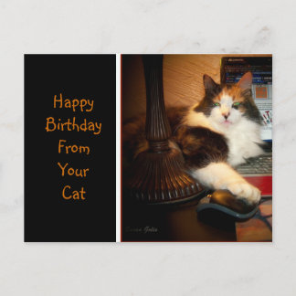Feliz Aniversário do Seu Gato Cartão Postal de Abe
