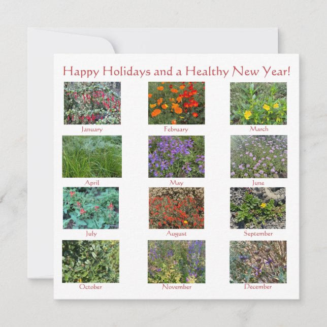 Feliz Aniversário e Um Ano Novo! Cartão de Notas  (Frente)