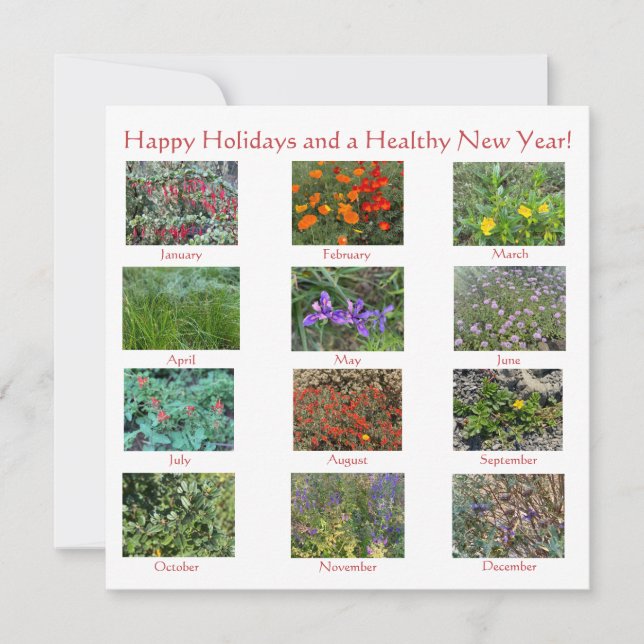 Feliz Aniversário e Um Ano Novo! Cartão de Notas  (Frente)