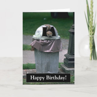 Feliz Aniversário Engraçado Cartão de Esquilo