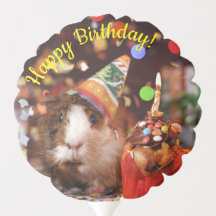 Feliz Aniversário - Festa de Guiné Animal