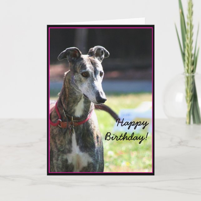 Feliz Aniversário, Greyhound, cartão de saudação (Frente)