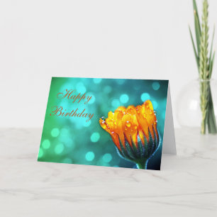 Feliz Aniversário Marigold no Cartão Teal