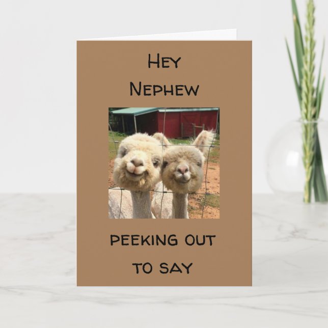 FELIZ *ANIVERSÁRIO* PARA A MINHA CARTÃO *NEPHEW* (Frente)