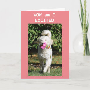 FELIZ ANIVERSÁRIO PARA O MEU CARTÃO **NIECE**