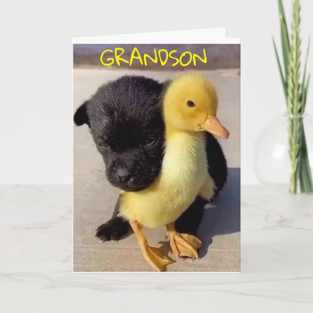 FELIZ ANIVERSÁRIO PARA VOCÊ ** CARTÃO GRANDSON** (Frente)