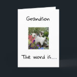 FELIZ ANIVERSÁRIO PARA VOCÊ **NETO** CARTÃO<br><div class="desc">FELIZ ANIVERSÁRIO ***NETO**** OBRIGADO POR PASSAR POR UMA DAS MINHAS OITO LOJAS!</div>