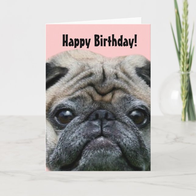 Feliz Aniversário Pug Dog - cartão de saudação (Frente)