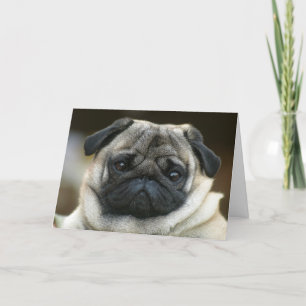 Feliz Aniversário Pug Puppy Dog - Cartão de Saudaç