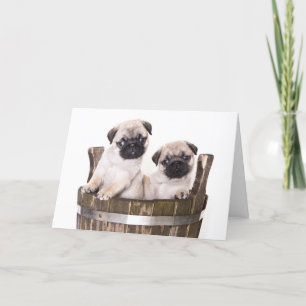 Feliz Aniversário Pug Puppy Dog - Cartão de Saudaç