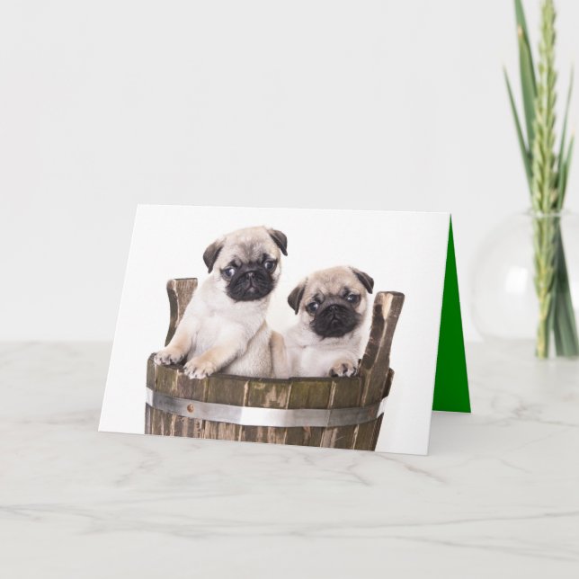 Feliz Aniversário Pug Puppy Dog - Cartão de Saudaç (Frente)