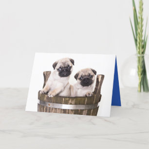 Feliz Aniversário Pug Puppy Dog - Cartão de Saudaç