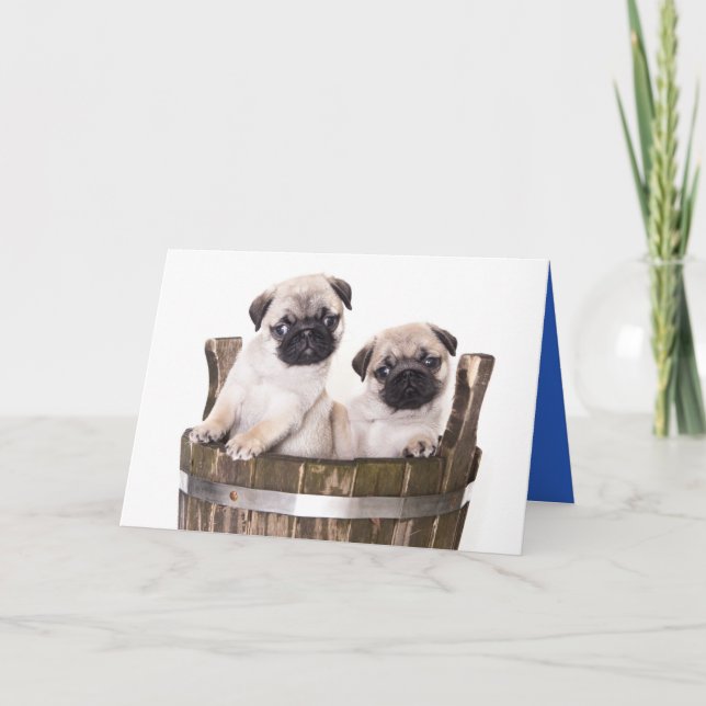 Feliz Aniversário Pug Puppy Dog - Cartão de Saudaç (Frente)