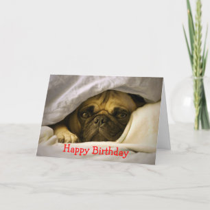 Feliz Aniversário Pug Puppy Dog Cartão Saudação