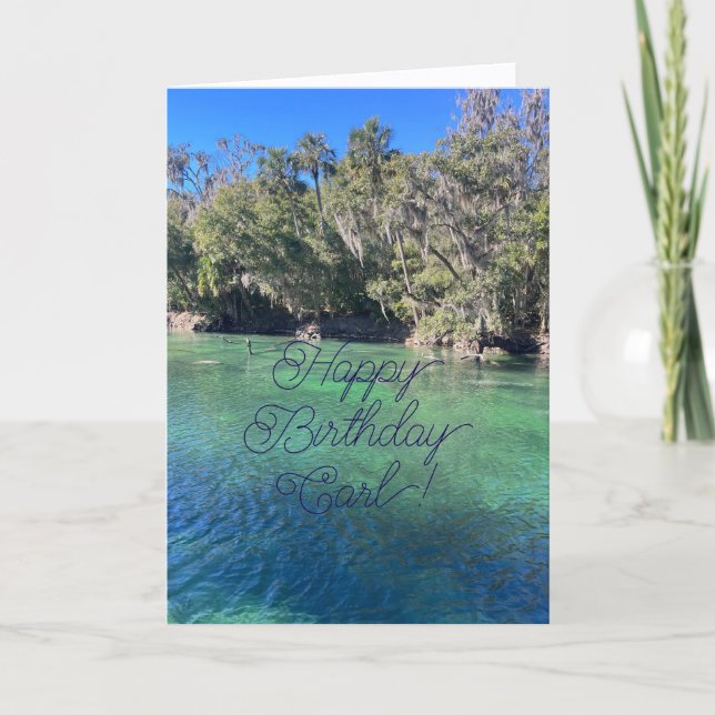 Feliz Aniversário, Querido Sobrinho, Cartão (Frente)