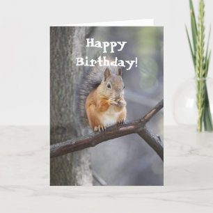 Feliz Aniversário Red Squirrel - Cartão de Saudaçã