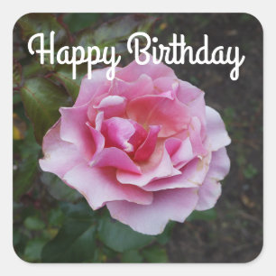 Feliz aniversário Rosa de Dueto 2 Adesivos