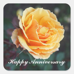 Feliz Aniversário Sobre Rosa de rosto 3 adesivos