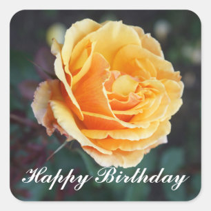 Feliz Aniversário Sobre Rosa de rosto 3 adesivos