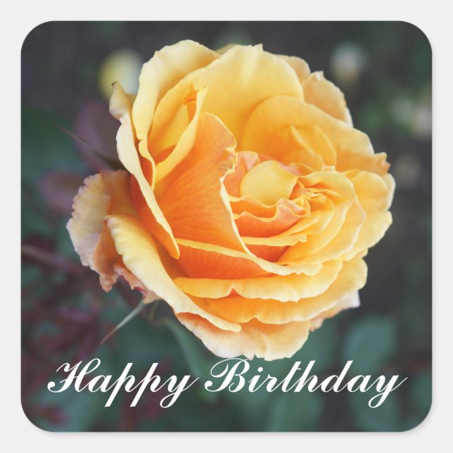 Feliz Aniversário Sobre Rosa de rosto 3 adesivos (Frente)